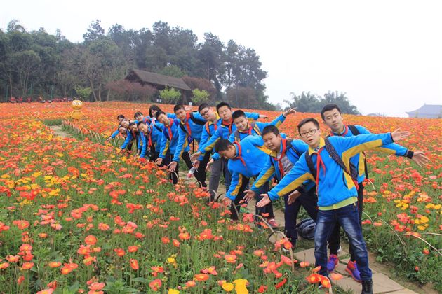 “花漾”之旅——记棠外附小六年级社会实践活动