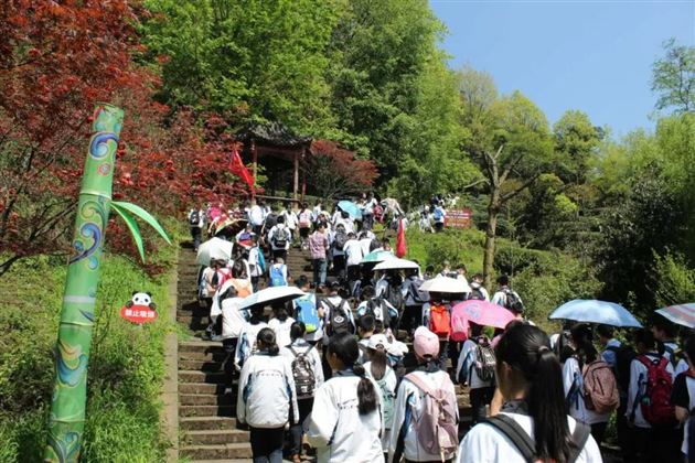 一片绿叶春风舞 千名学子采茶忙——记棠外初2016级师生蒙顶山中华茶文化研学之旅