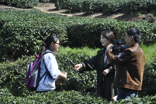 一片绿叶春风舞 千名学子采茶忙——记棠外初2016级师生蒙顶山中华茶文化研学之旅