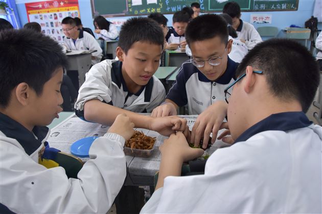 塑苔花之形点心灵之境——记棠外“5.25心理健康节”系列活动（四）