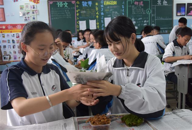 塑苔花之形点心灵之境——记棠外“5.25心理健康节”系列活动（四）