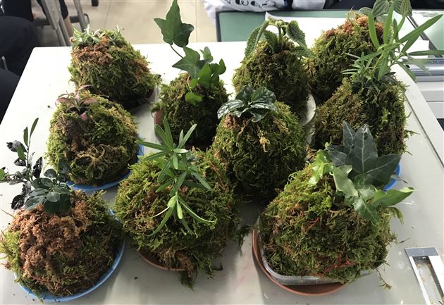 塑苔花之形点心灵之境——记棠外“5.25心理健康节”系列活动（四）