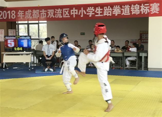 喜报：棠外初中部跆拳道队参加2018年成都市双流区中小学生跆拳道锦标赛喜获佳绩