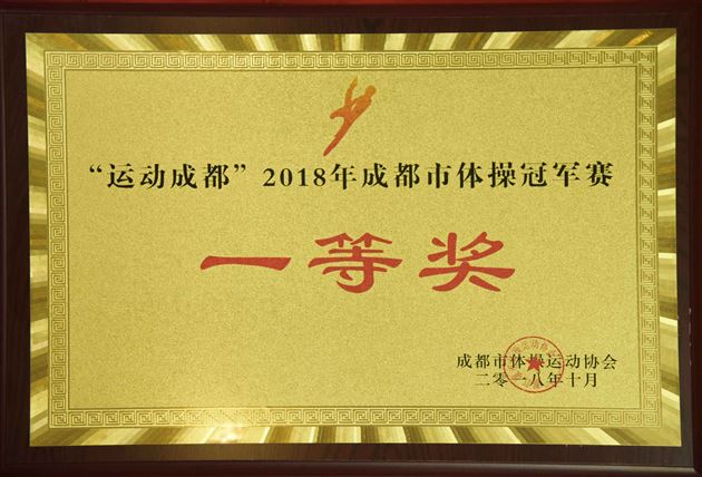 棠外实验幼儿园勇夺“2018成都市幼儿体操冠军赛”金奖