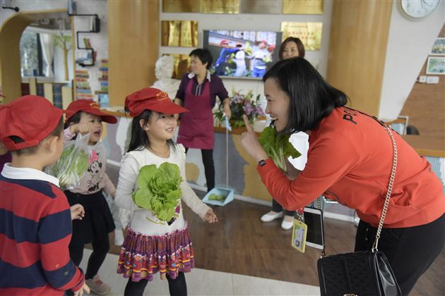 棠外实验幼儿园爱心小农场丰收啦