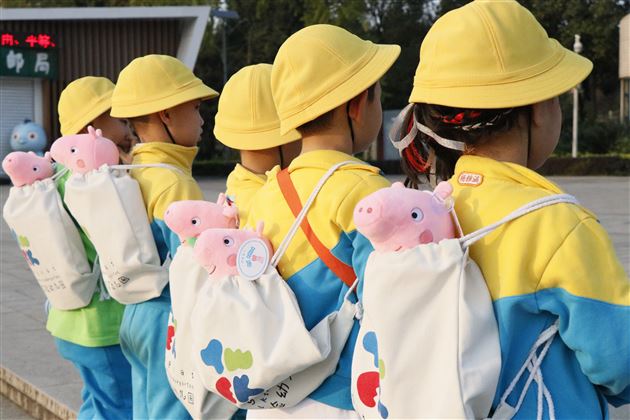 比赛游学两不误体操金牌囊中收——棠外实验幼儿园体操队勇夺四川省体育展示大会一等奖