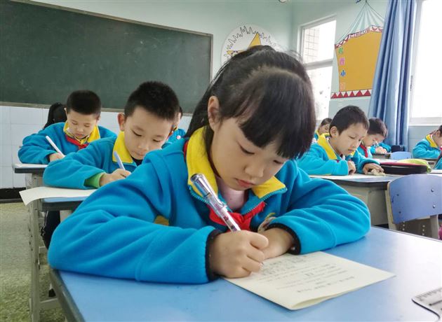 指点江山激扬文字——记附小第二十二届“阳光杯”作文大赛