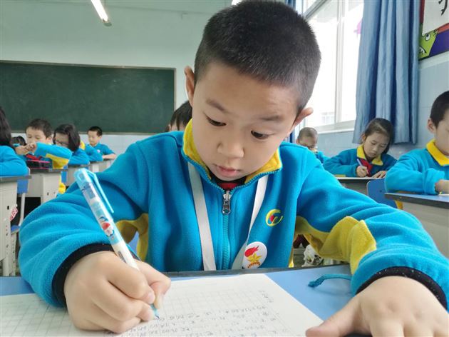 指点江山激扬文字——记附小第二十二届“阳光杯”作文大赛