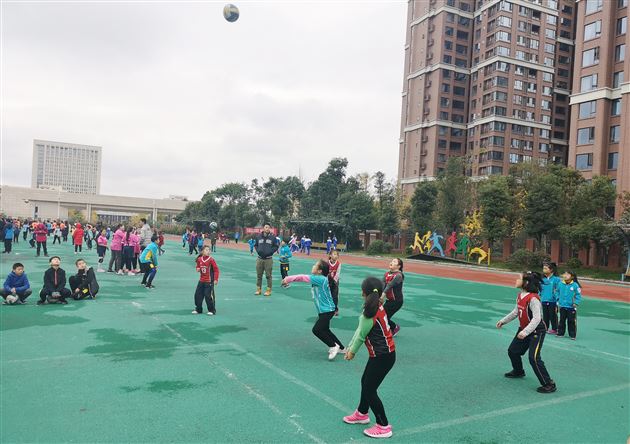 我校附小排球队参加双流区排球锦标赛获佳绩