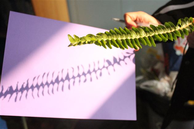 “叶”由“心声”——高2017级开展园艺心理团体辅导活动