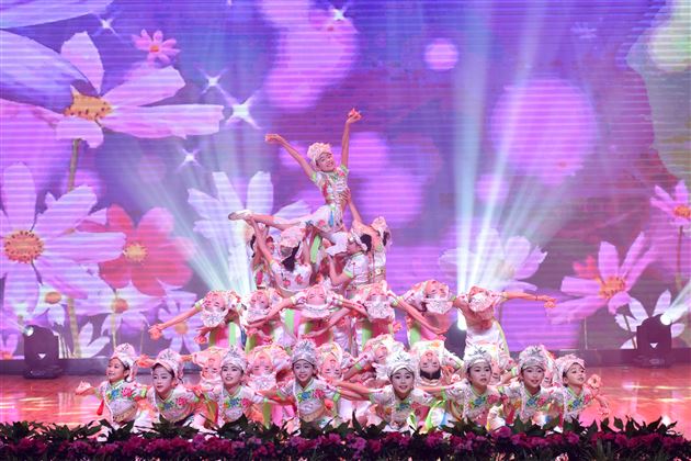 舞有鸾凤影羽衣蹁跹贺岁旦   弦和时代音奏响青春呈芳华——棠外2018年校园艺术节展演暨2019年新年文艺联欢晚会隆重举行