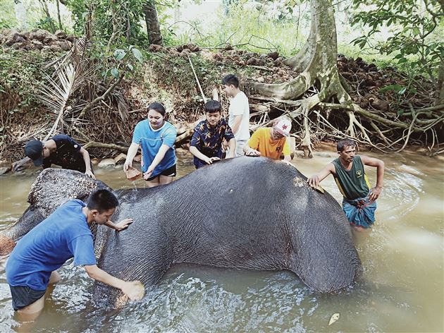 仰望别人，不如脚踏实地做有意义的事——我校国际部斯里兰卡义工之行