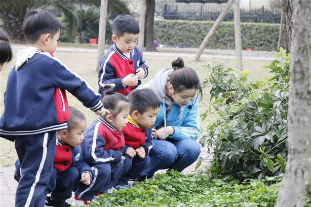 春风十里，不如春色里有个你——我校实验幼儿园举行春游活动