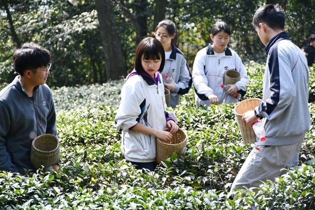 品蒙顶茶韵 探丛林之险——记我校国际部U-COURSE课程之蒙顶山研习体验之旅