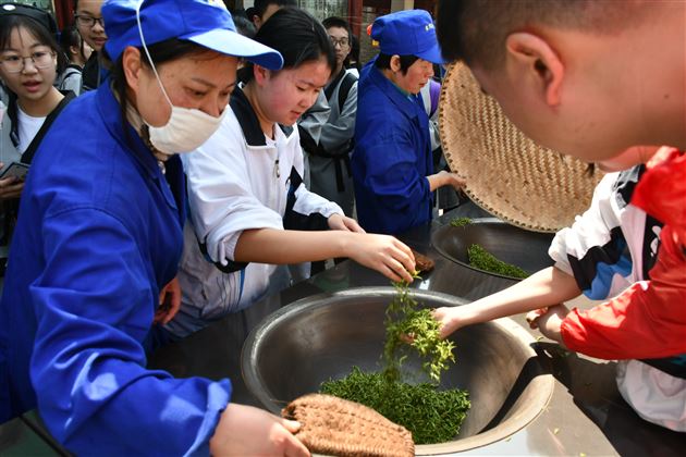 品蒙顶茶韵 探丛林之险——记我校国际部U-COURSE课程之蒙顶山研习体验之旅