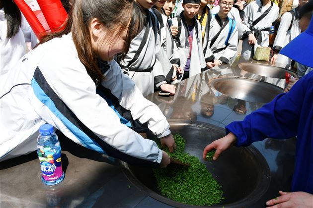品蒙顶茶韵 探丛林之险——记我校国际部U-COURSE课程之蒙顶山研习体验之旅