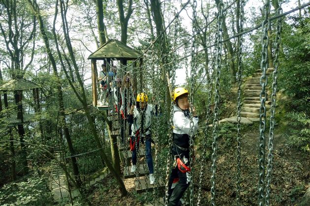 品蒙顶茶韵 探丛林之险——记我校国际部U-COURSE课程之蒙顶山研习体验之旅