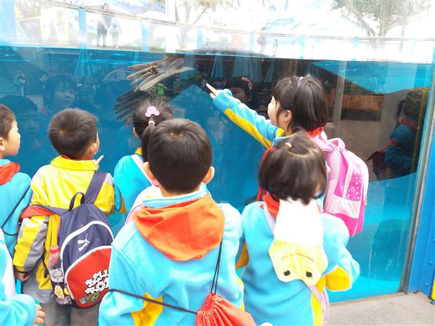 海洋世界 畅游到底——记我校附小一年级社会实践