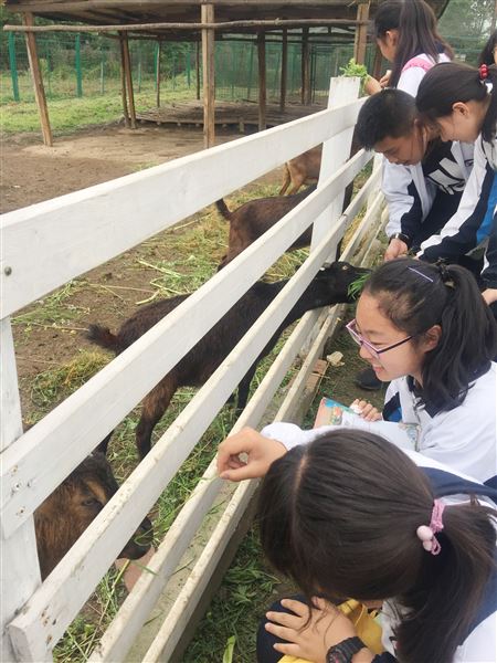 天赐‘粮’机，健康‘循’意——记我校初2017级绿色研学旅行活动