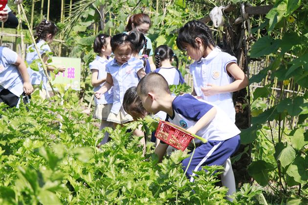 小脚走天下——我校实验幼儿园开展重庆品格研学活动