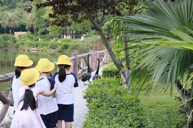 小脚走天下——我校实验幼儿园开展重庆品格研学活动