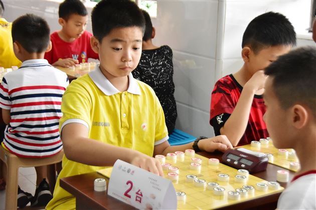 我校师生参加2019中国体育彩票全国象棋业余棋王赛暨空港双流首届“民办教育杯”象棋赛获佳绩