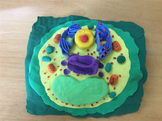 联合教研助力团队成长——我校举行初高中生物学科活动成果展