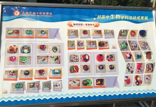 联合教研助力团队成长——我校举行初高中生物学科活动成果展