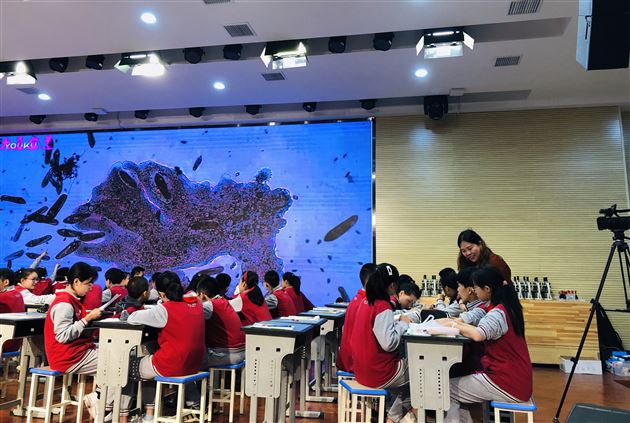 金秋时节 锋芒初见——我校青年教师文红梅为全区初中生物教师献课获好评