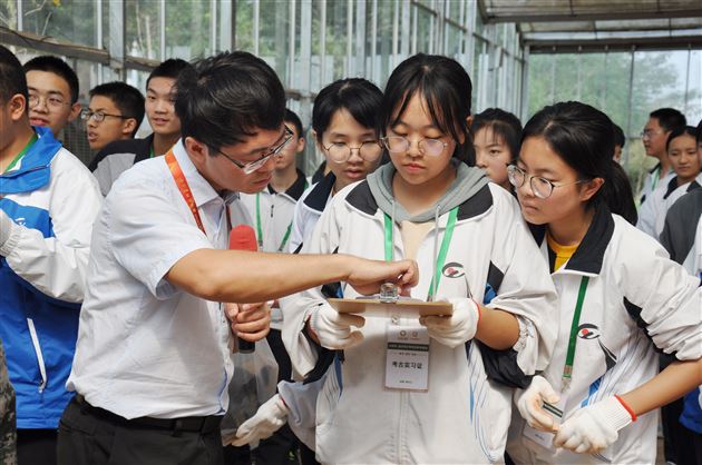 无边界的课堂，走，我们去考古！——高2019级考古研学活动