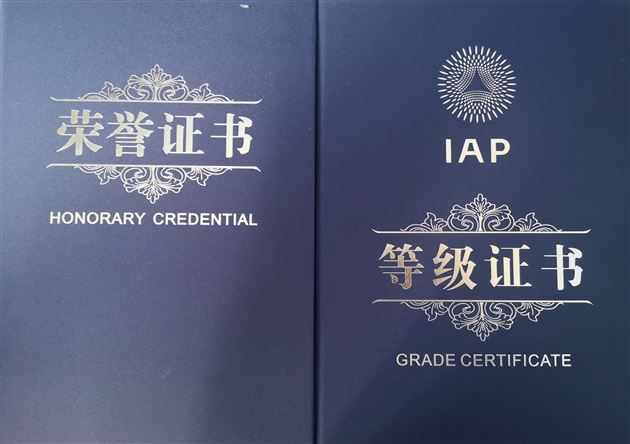 喜报：热烈祝贺我校高中学生在IAP和“21世纪杯”演讲比赛中荣获最高奖