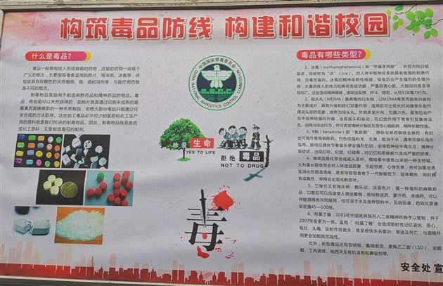 珍爱生命 拒绝毒品——我校附小举行主题升旗仪式活动