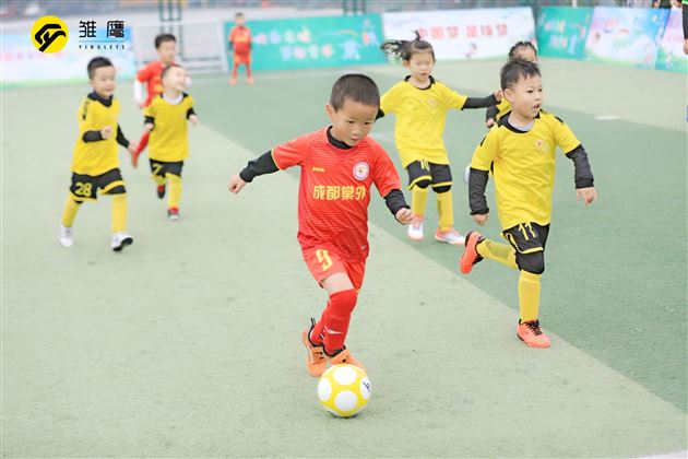 厉害了我的棠宝