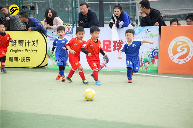 厉害了我的棠宝