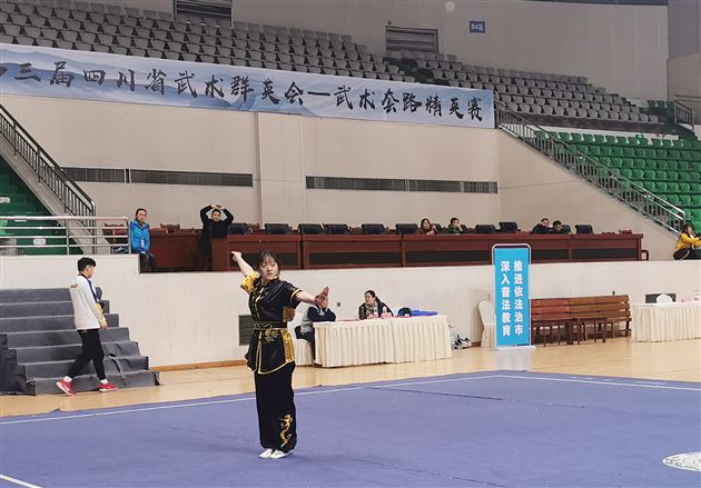 全省武林群英会 棠外学子功夫高——棠外高中武术队在第三届四川省武术群英会（武术套路精英赛）获奖