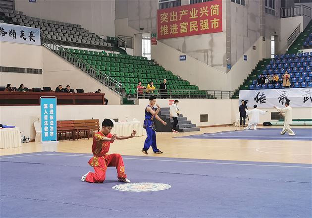 全省武林群英会 棠外学子功夫高——棠外高中武术队在第三届四川省武术群英会（武术套路精英赛）获奖