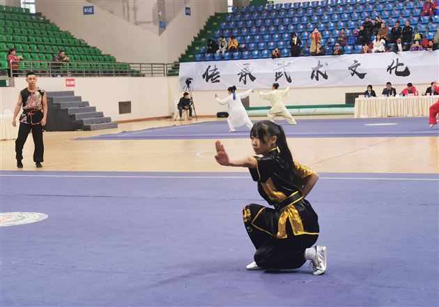 全省武林群英会 棠外学子功夫高——棠外高中武术队在第三届四川省武术群英会（武术套路精英赛）获奖