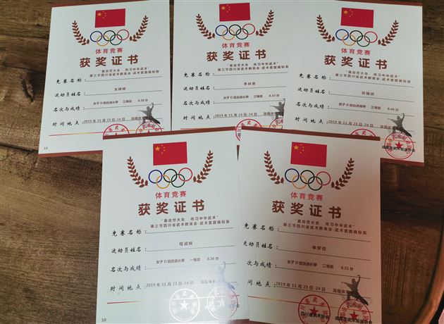 全省武林群英会 棠外学子功夫高——棠外高中武术队在第三届四川省武术群英会（武术套路精英赛）获奖