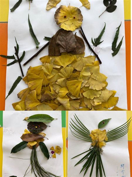 我校开展初2019级“生命之旅”园艺心理团体辅导活动