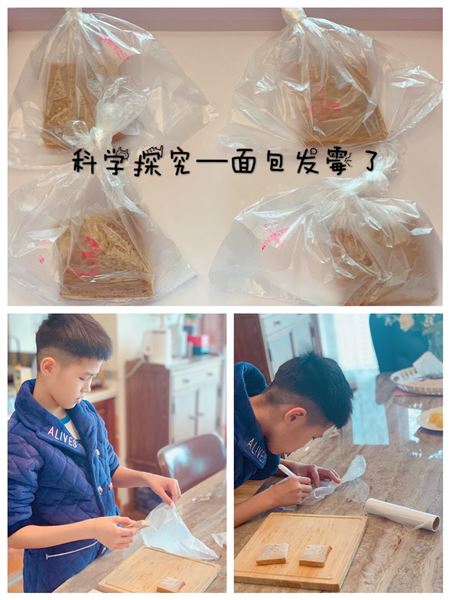 疫情中科学防疫 生活中探究科学——记棠外附小停课不停学之科学篇