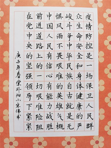 我是党员 我带头——记棠外附小党总支抗击疫情系列活动