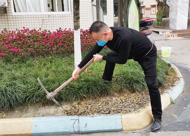 我是党员 我带头——记棠外附小党总支抗击疫情系列活动