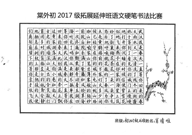 叩开高中语文学习之门——高中拓展延伸班开展多样语文活动