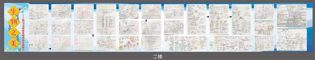 生物之美 思维之美——高2018级生物组思维导图展示活动