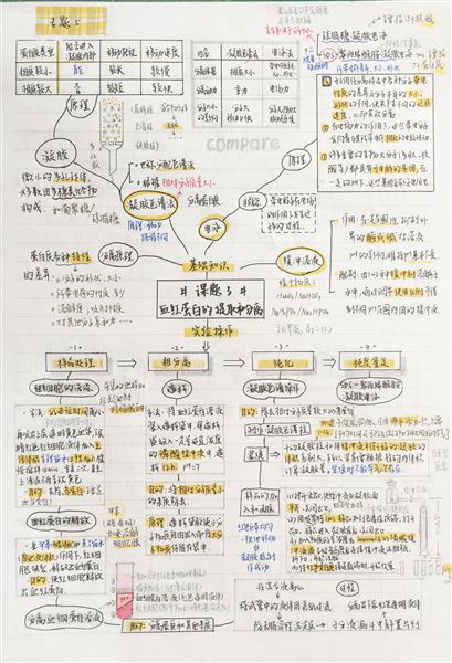 生物之美 思维之美——高2018级生物组思维导图展示活动