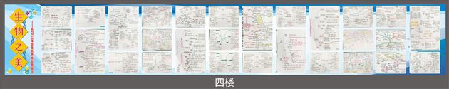 生物之美 思维之美——高2018级生物组思维导图展示活动