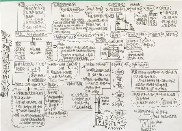 生物之美 思维之美——高2018级生物组思维导图展示活动