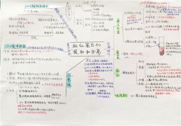 生物之美 思维之美——高2018级生物组思维导图展示活动