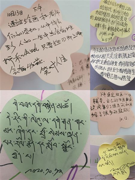 棠外心理教师张平秋受邀赴甘孜州巴塘县参加“名师蹲点”和“讲师团”联合送教活动