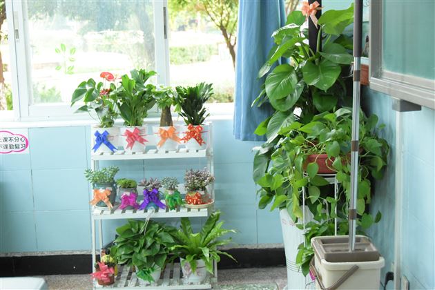 班级是我们的另一个家——记棠外初2020级班级文化建设评比活动